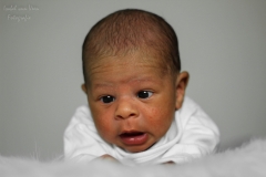Isabel van Veen Fotografie-Shoots-Newborn-baby (4)