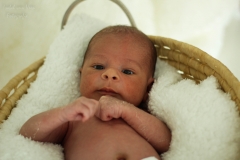 Isabel van Veen Fotografie-Shoots-Newborn-baby-mandje (7)
